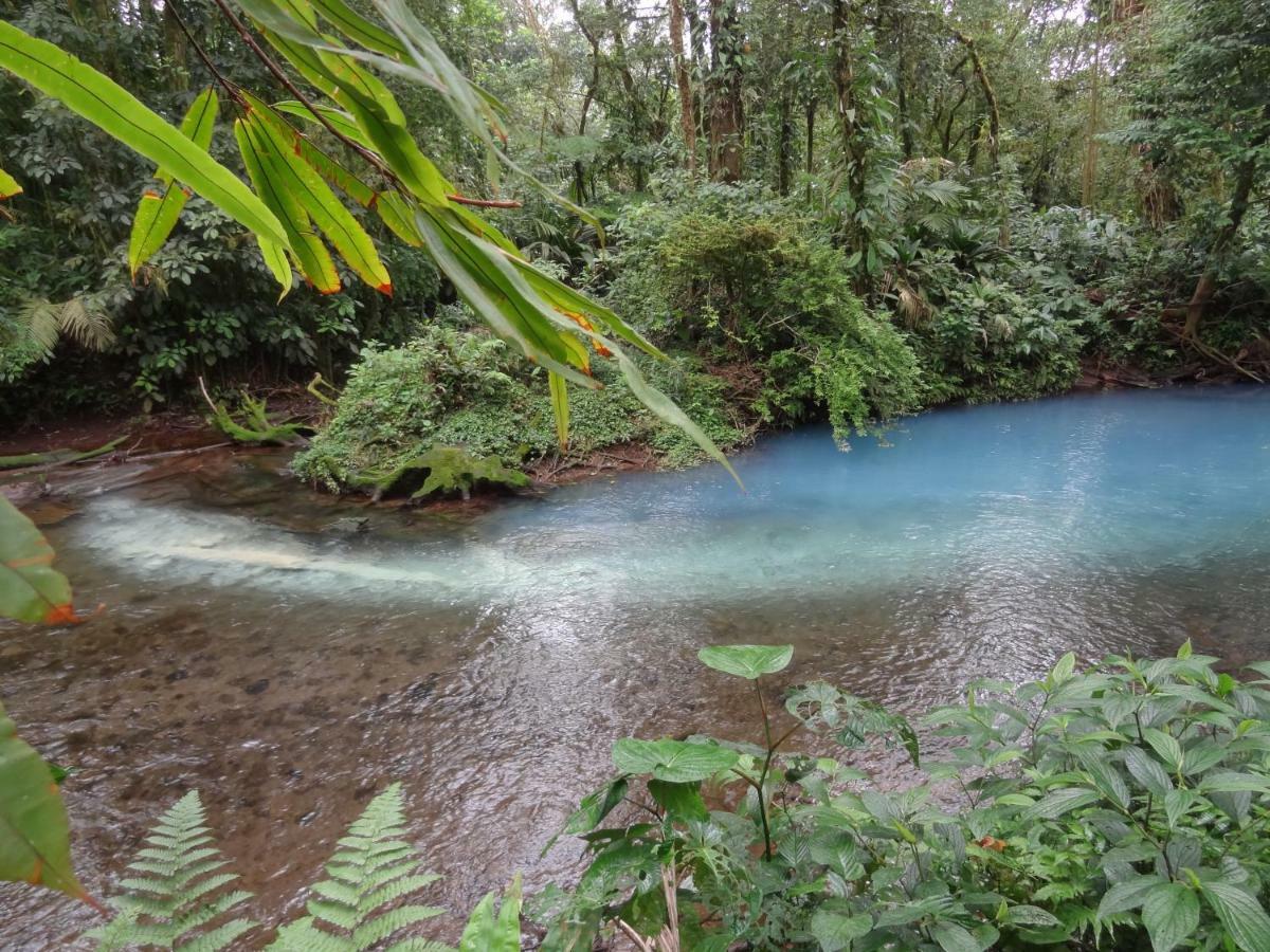 Hotel Rio Celeste Finca L' Etoile Celeste El Achiote エクステリア 写真