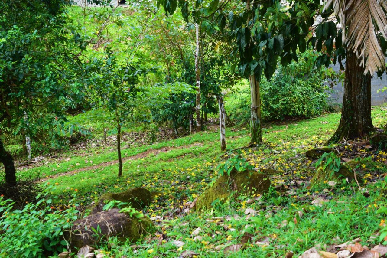 Hotel Rio Celeste Finca L' Etoile Celeste El Achiote エクステリア 写真